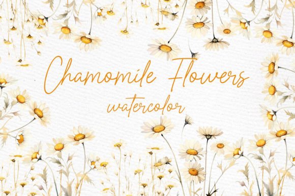 Daisy Watercolor Clipart Chamomile PNG: A Designer's Floral Toolkit