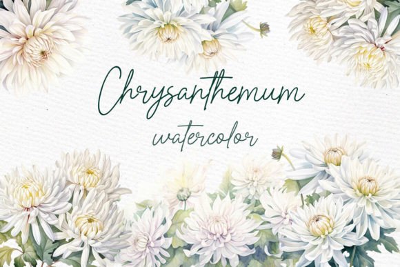 White Floral Clipart White Chrysanthemum: Watercolor Artistry